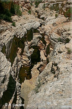 Blick vom Canyonrand in den Round Valley Draw